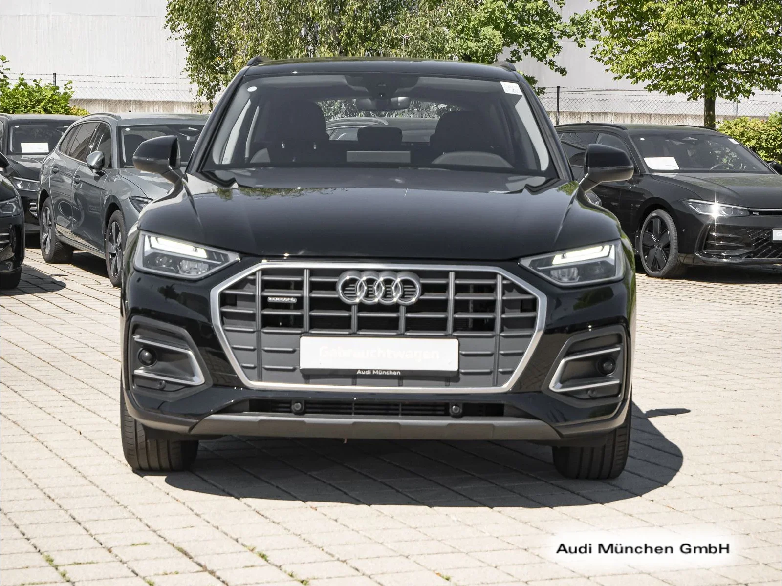 Audi Q5 50 TFSI E Qu. S Tronic AHK/Virtual/Navi