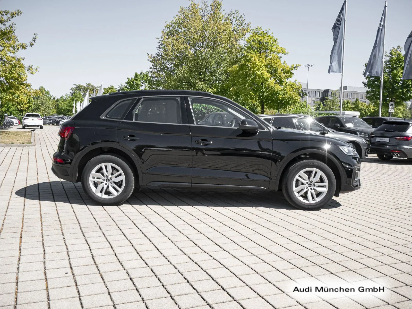 Audi Q5 50 TFSI E Qu. S Tronic AHK/Virtual/Navi